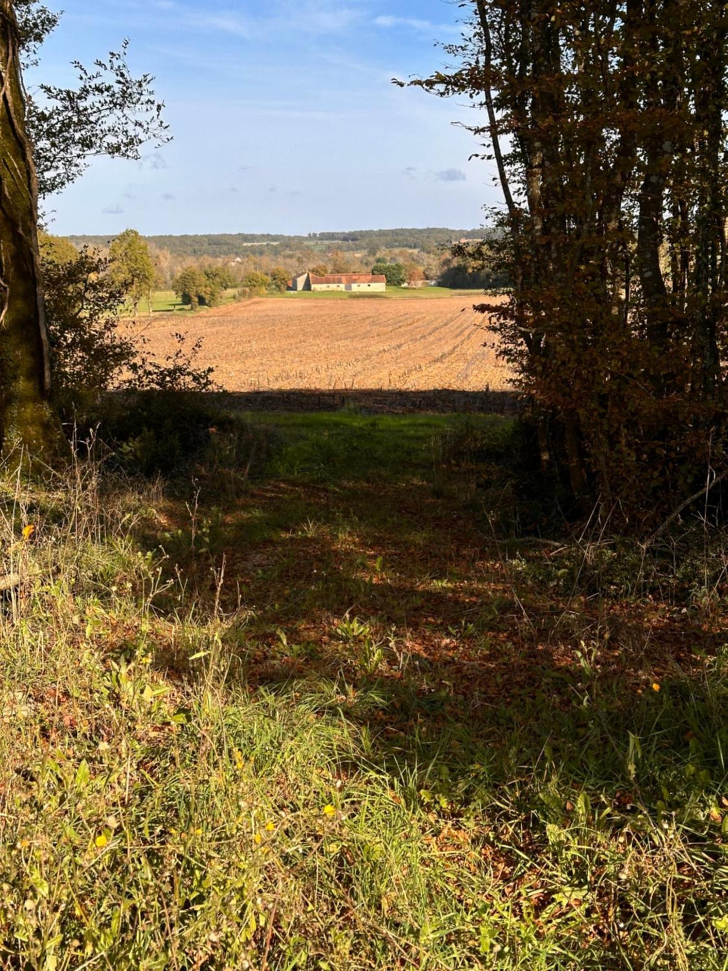 The Charming Private Farmhouse At La Grenouillere Puyreaux エクステリア 写真
